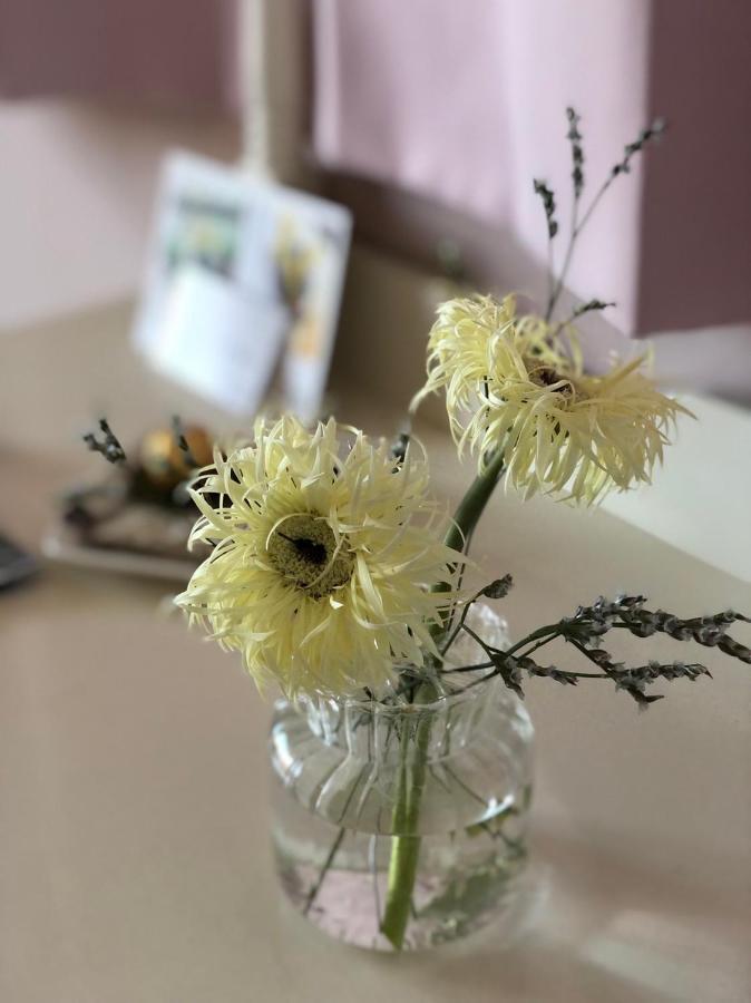 卡布-花藝小民宿 Taitung Floral B&B Esterno foto